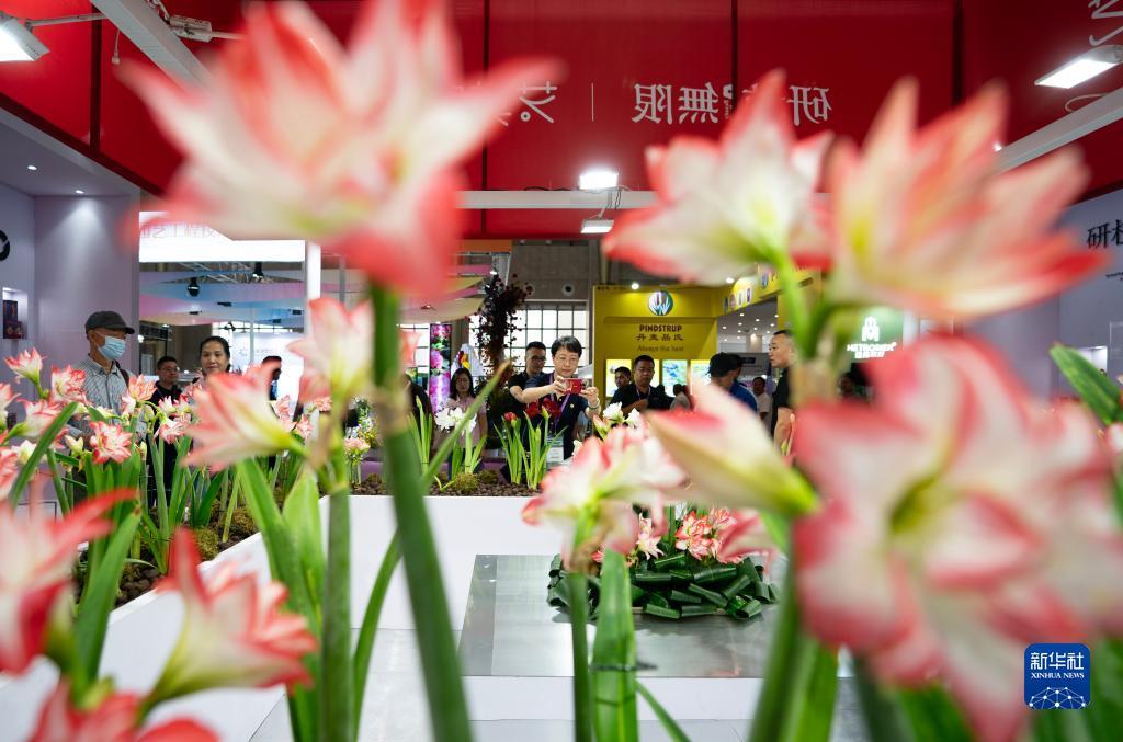 下载新明珠明珠家app